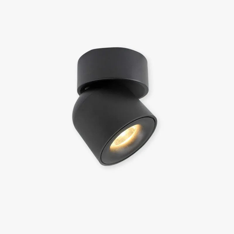 Lurix Spotlight Modern LED Flush Mount Ceiling Light, Black/White