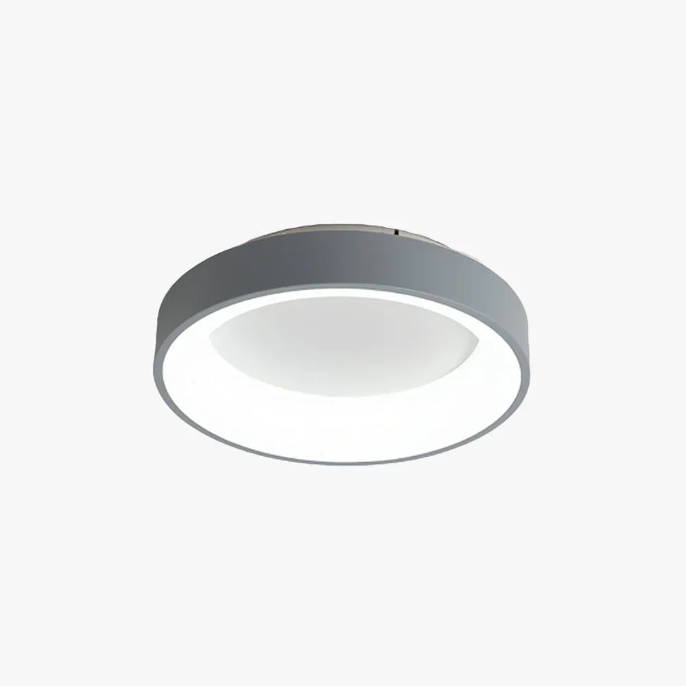 Noxa Ceiling Light