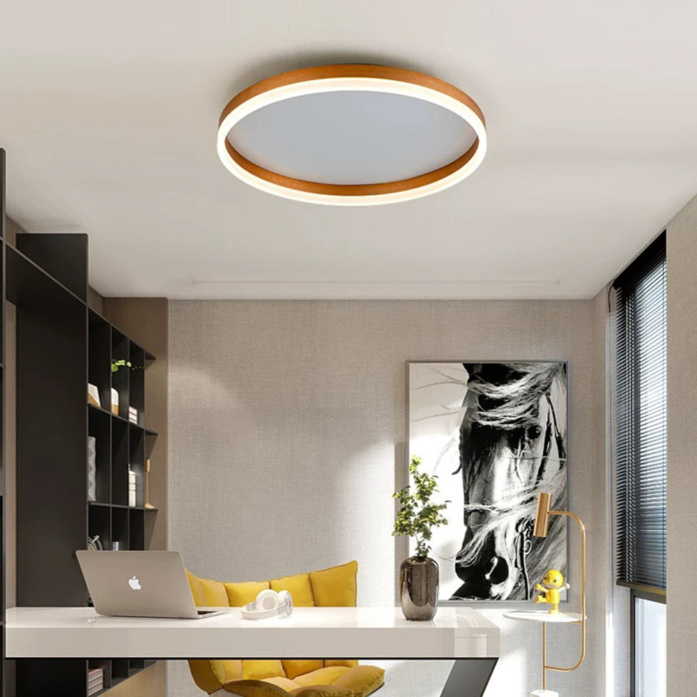 Lumorae loftslampe indbygget montering