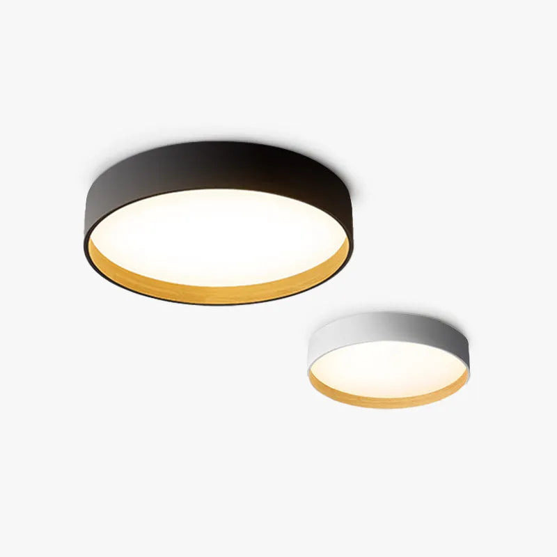 Vexa Ceiling Light