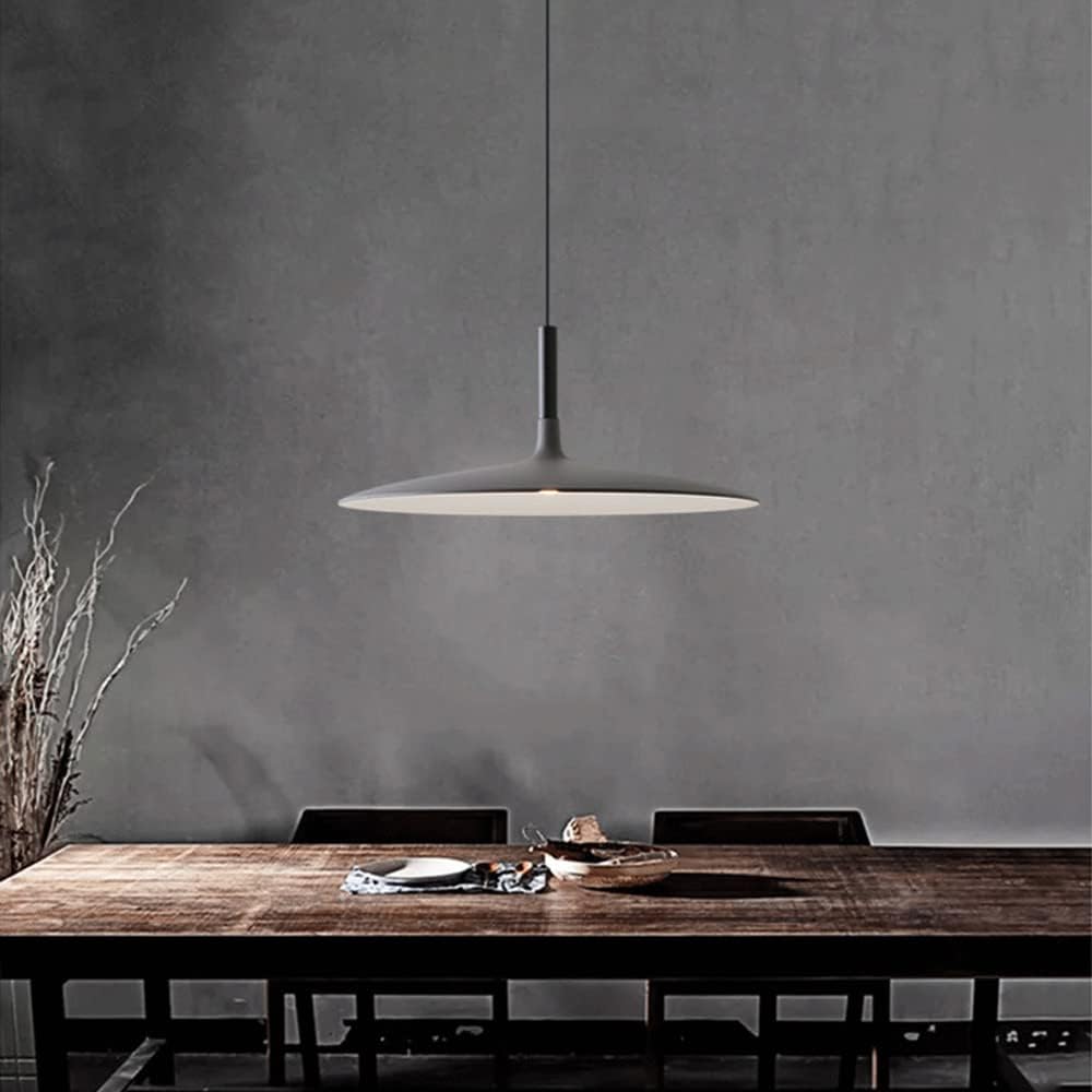 Fjorn Pendant Light Pan, Plate Shape Modern Design
