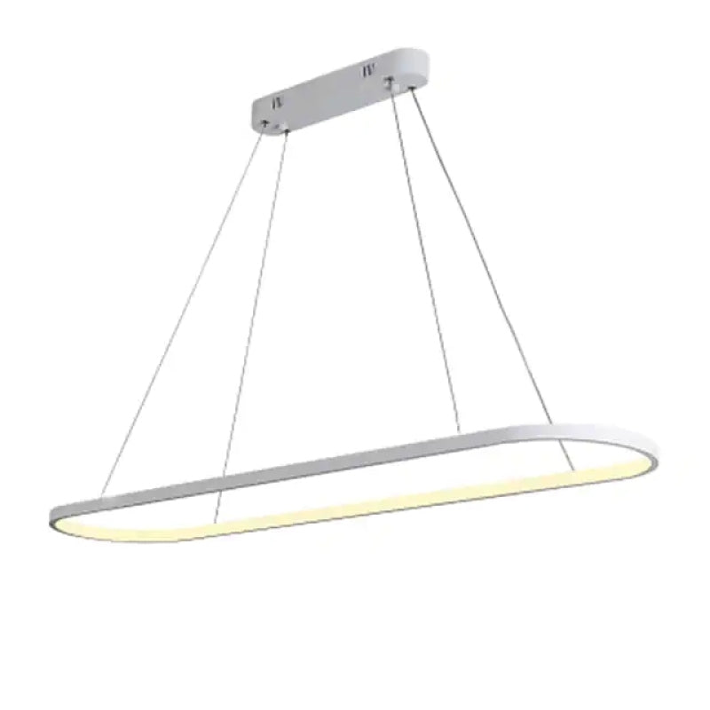 Avenor Minimalist Oval Interior Hanging Pendant Light