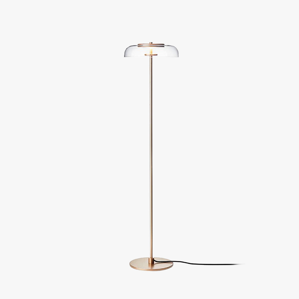 Salgado Transparent Floor Lamp, Metal & Glass, 2 Colour