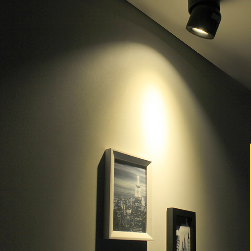 Lurix Spotlight Modern LED Flush Mount Ceiling Light, Black/White