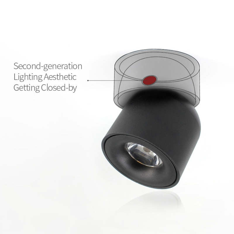 Lurix nútímalegur LED-loftlampi með kastara sem festist þétt við loft, svartur/hvítur