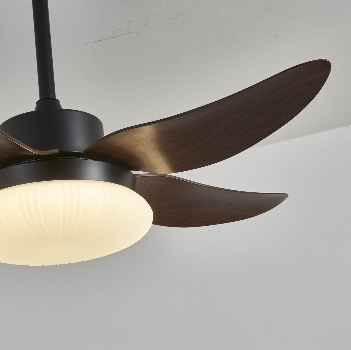 Ventoinha de teto moderna com luz em madeira Zerith