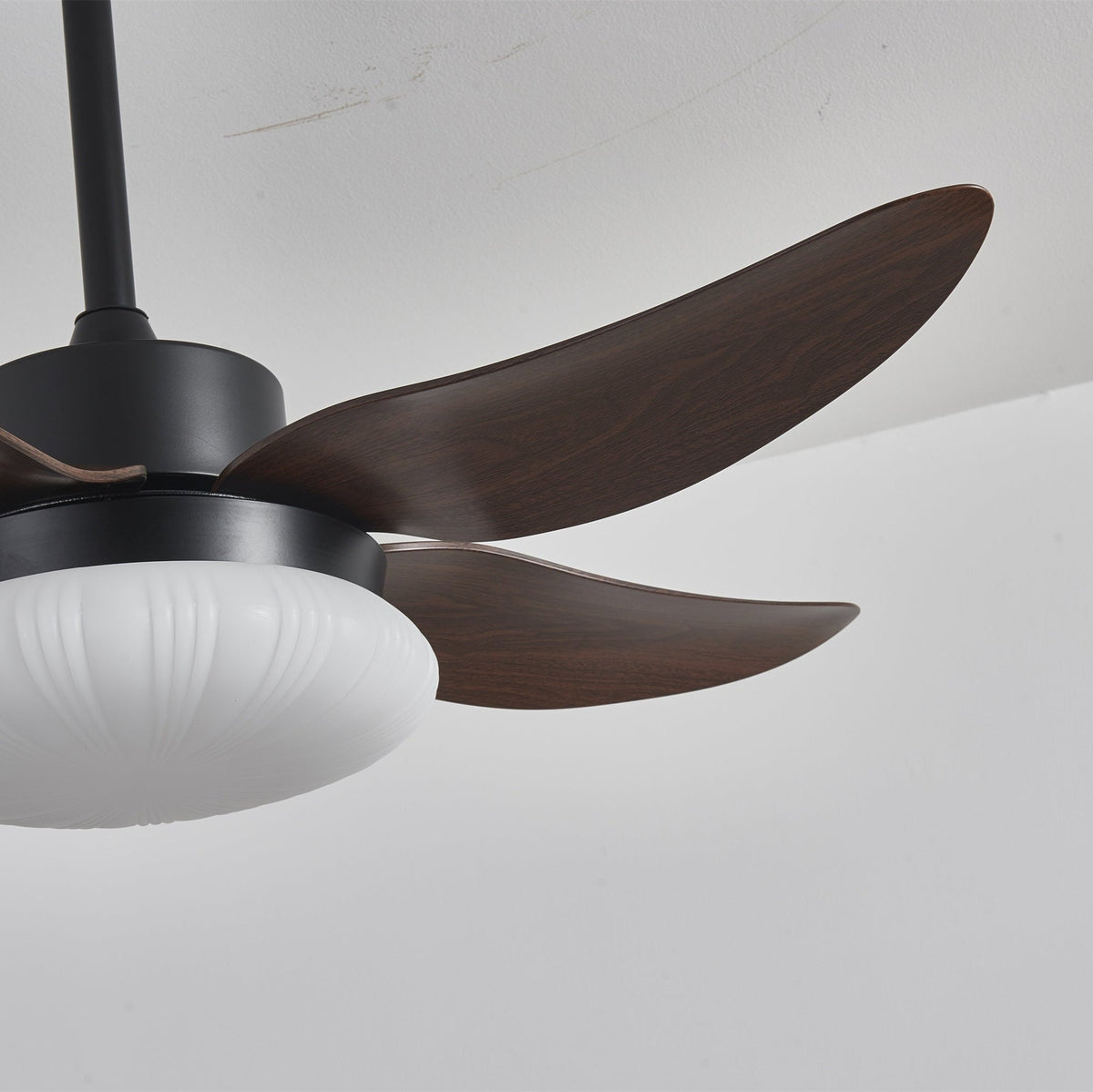 Ventoinha de teto moderna com luz em madeira Zerith