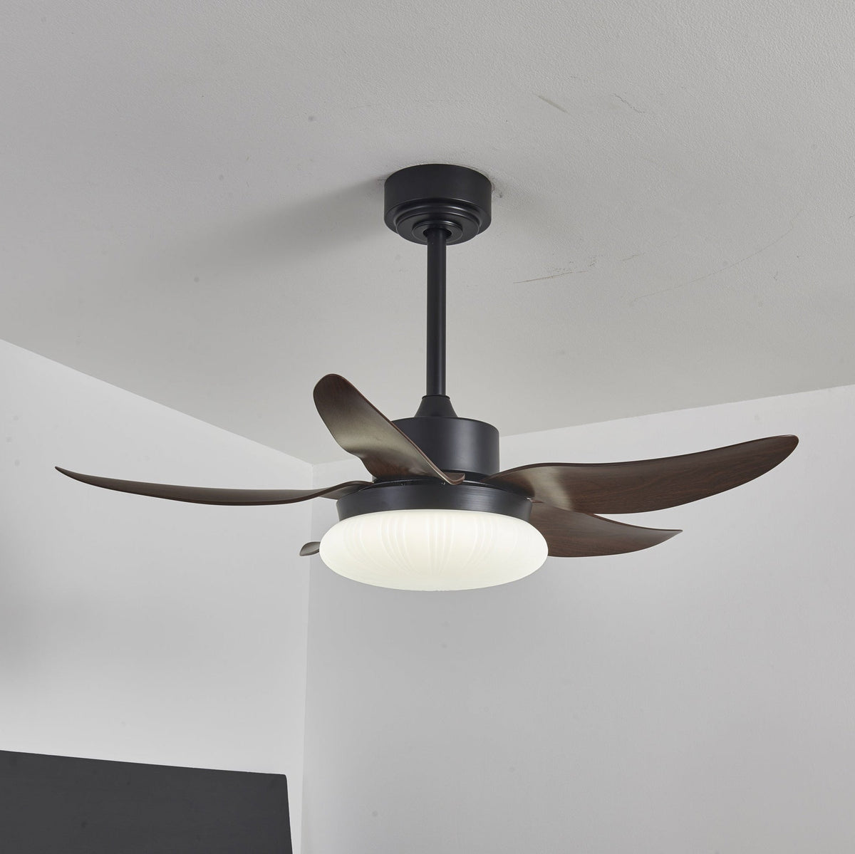 Ventoinha de teto moderna com luz em madeira Zerith