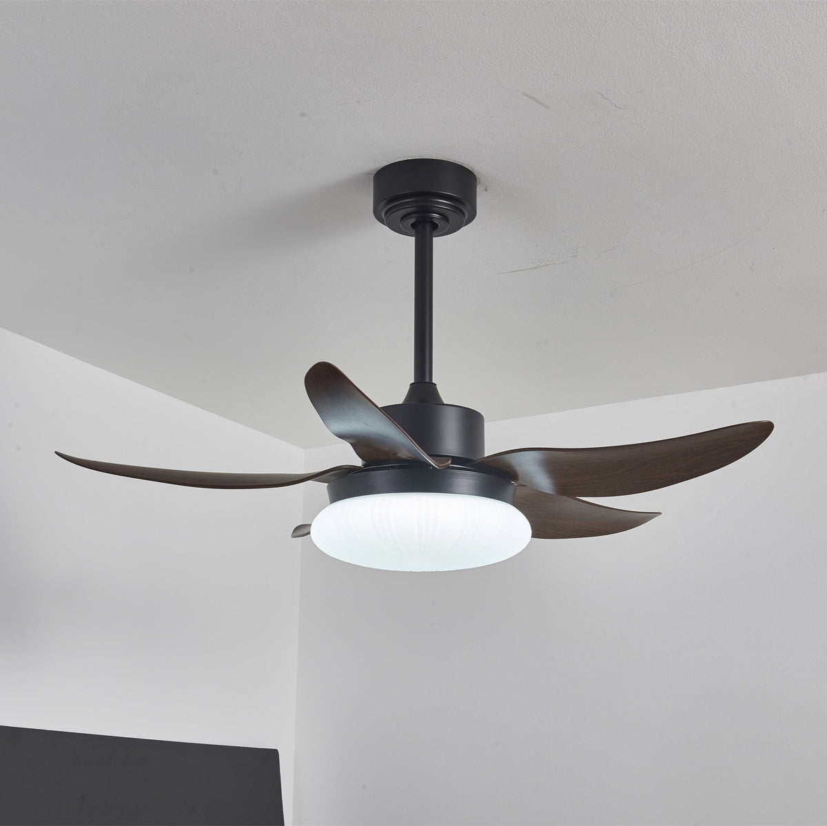 Ventoinha de teto moderna com luz em madeira Zerith