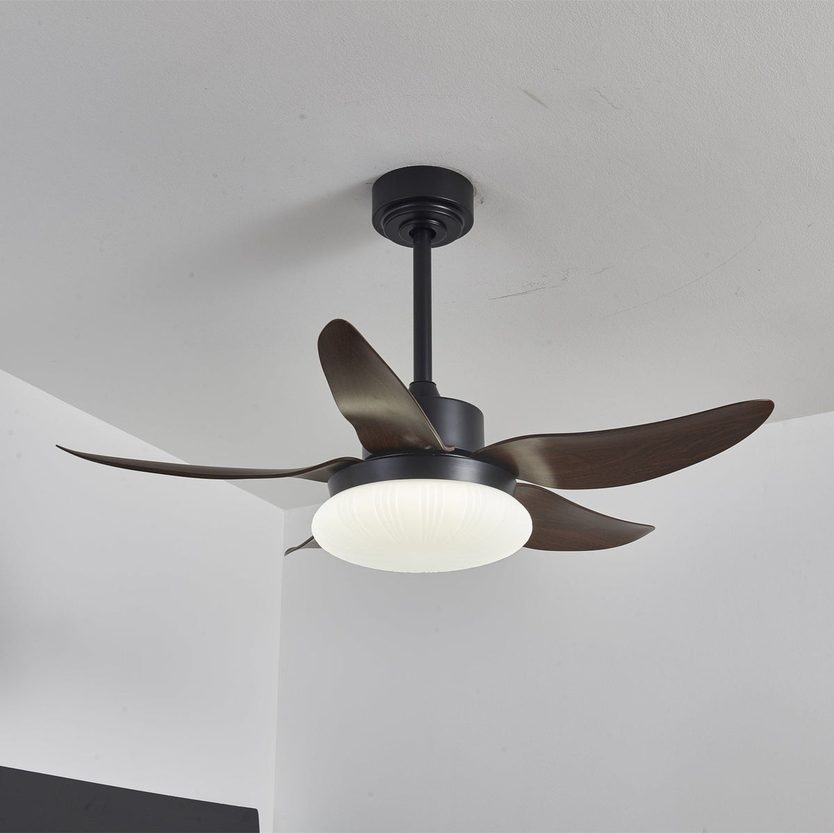 Ventoinha de teto moderna com luz em madeira Zerith