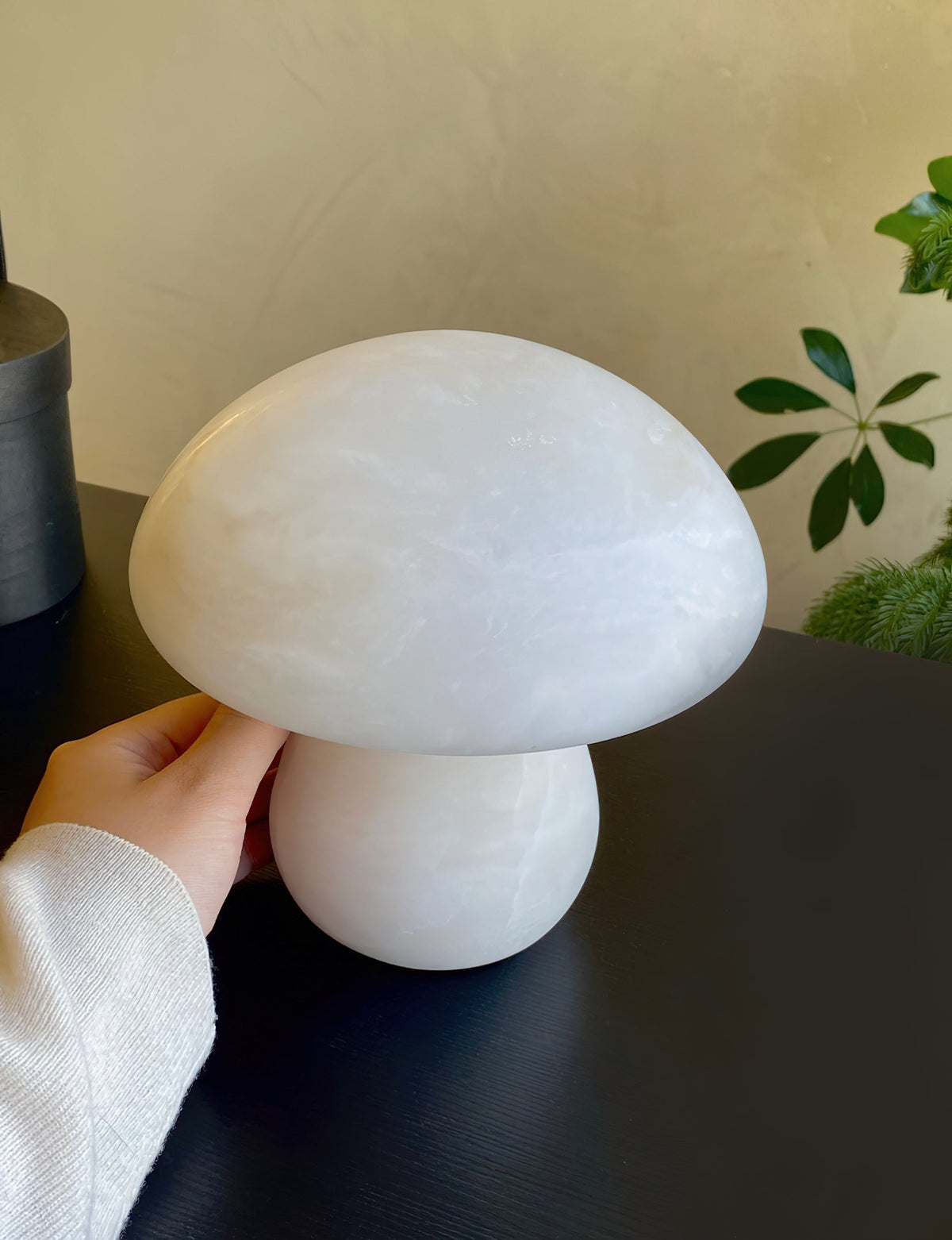 Selanise-bordlampe