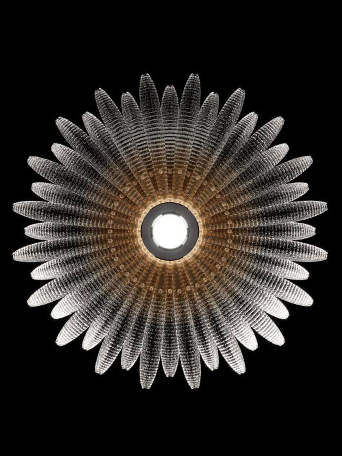 Ignatius-loftlampe med glaskronblade