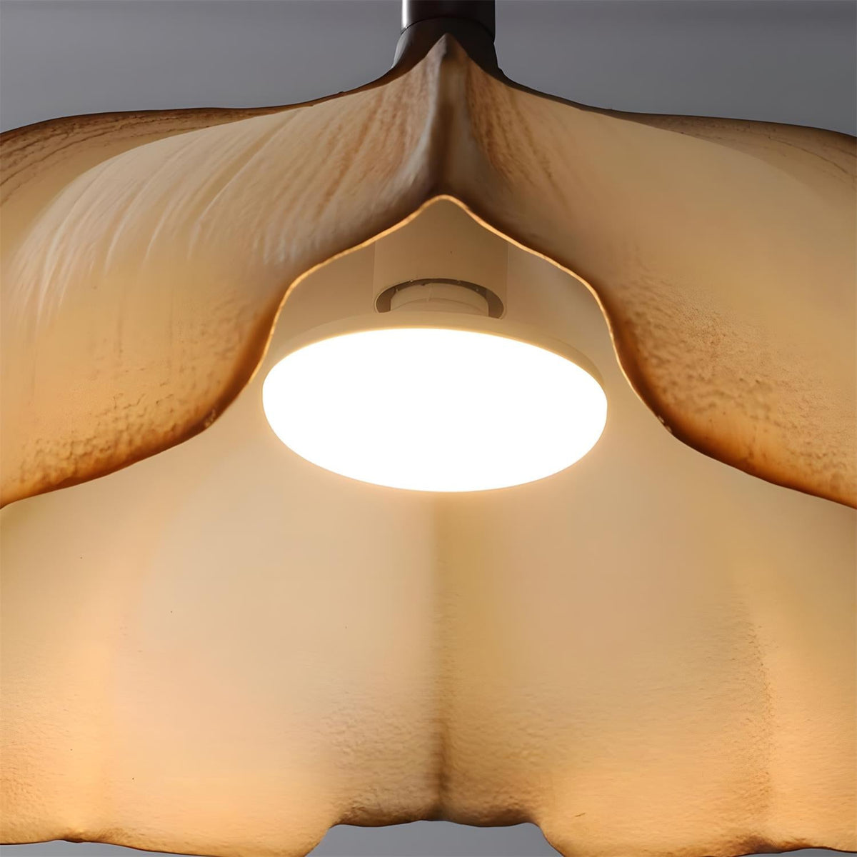 Lumirelia pendellampa