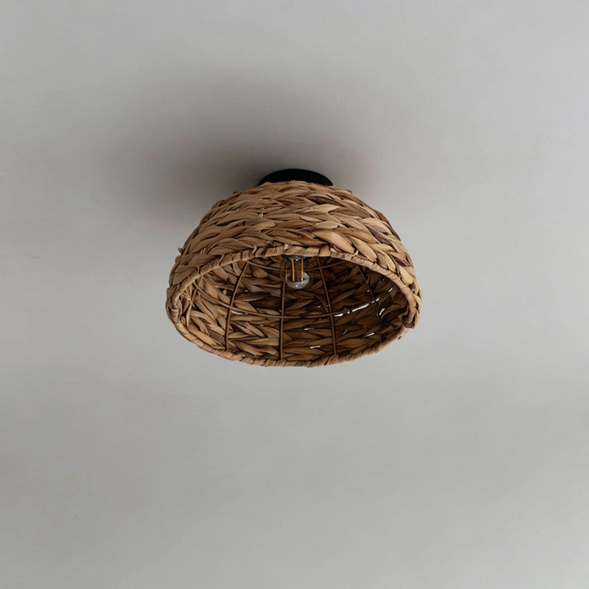 Elauiella Ceiling Light