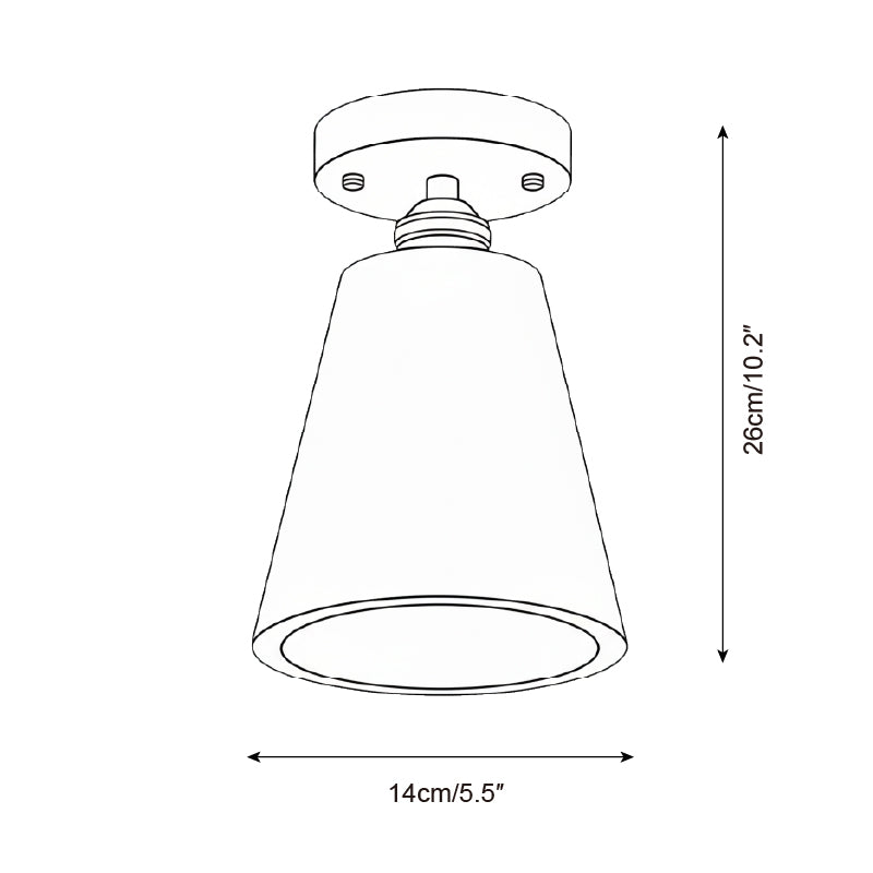 Renerora Flush Mount Ceiling Light