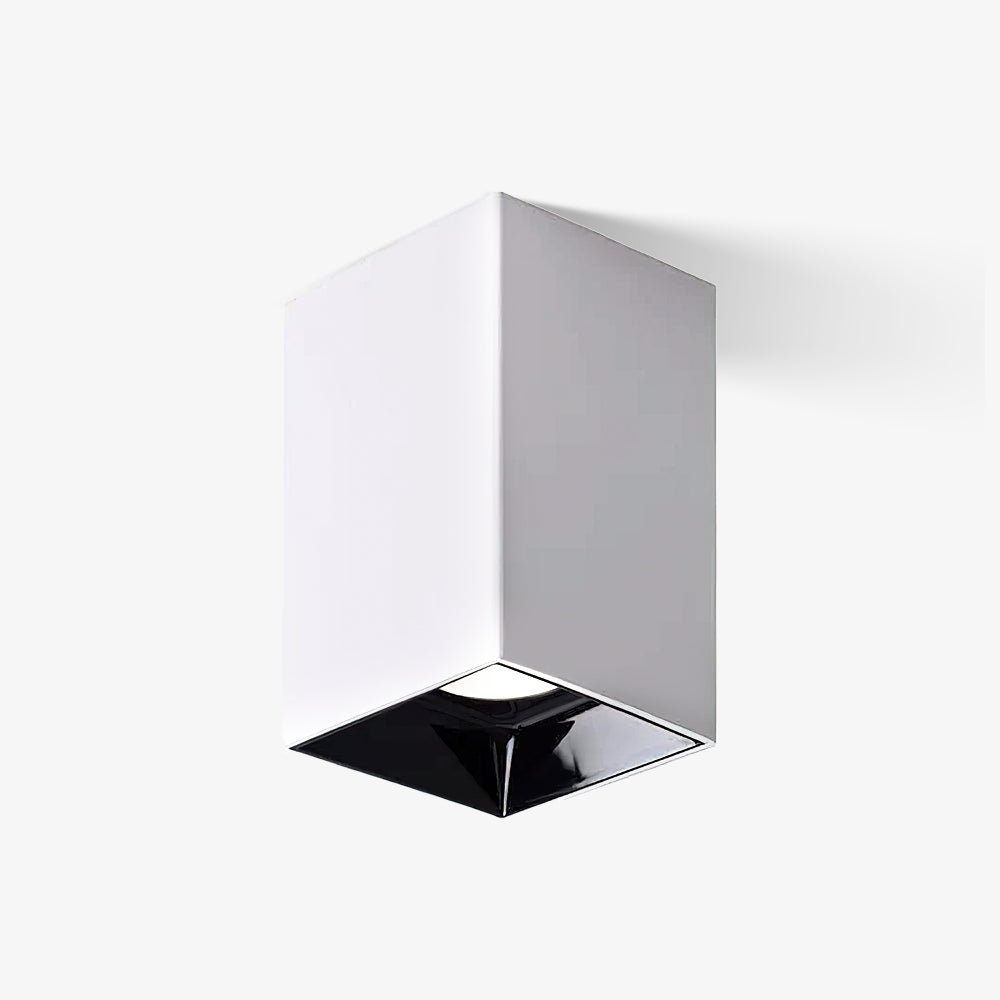 Orelaniella sort kubisk, firkantet loftlampe med spotlight
