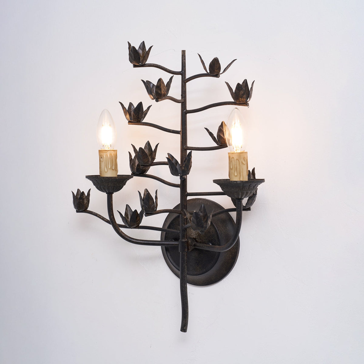 Elaerelia vägglampa