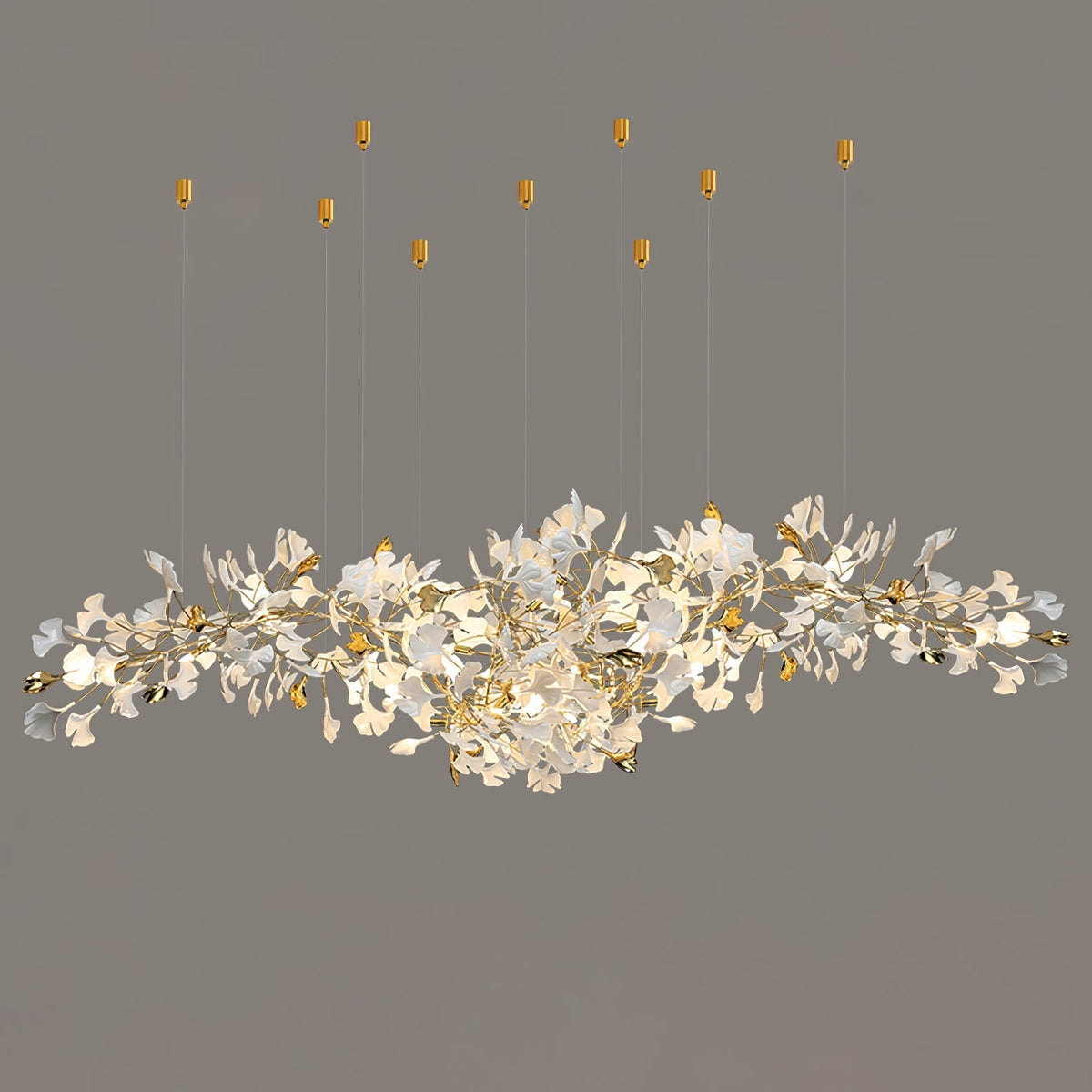Calaena gingko-lysekrone