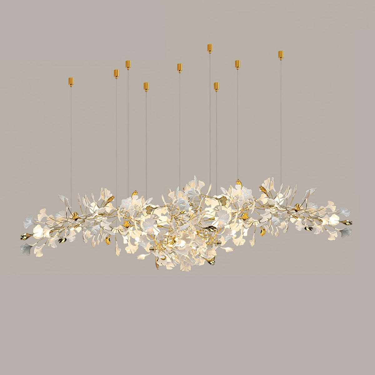 Calaena gingko-lysekrone