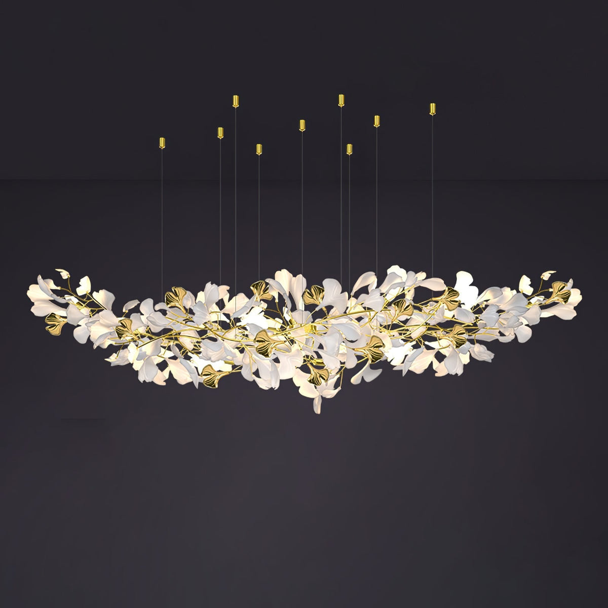 Calaena gingko-lysekrone
