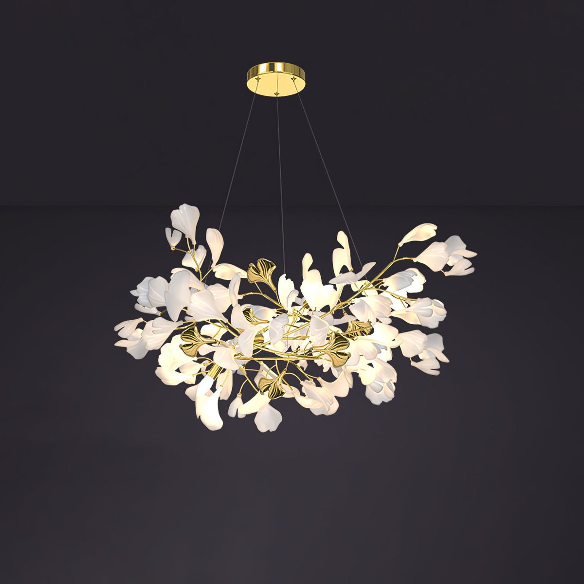 Calaena gingko-lysekrone