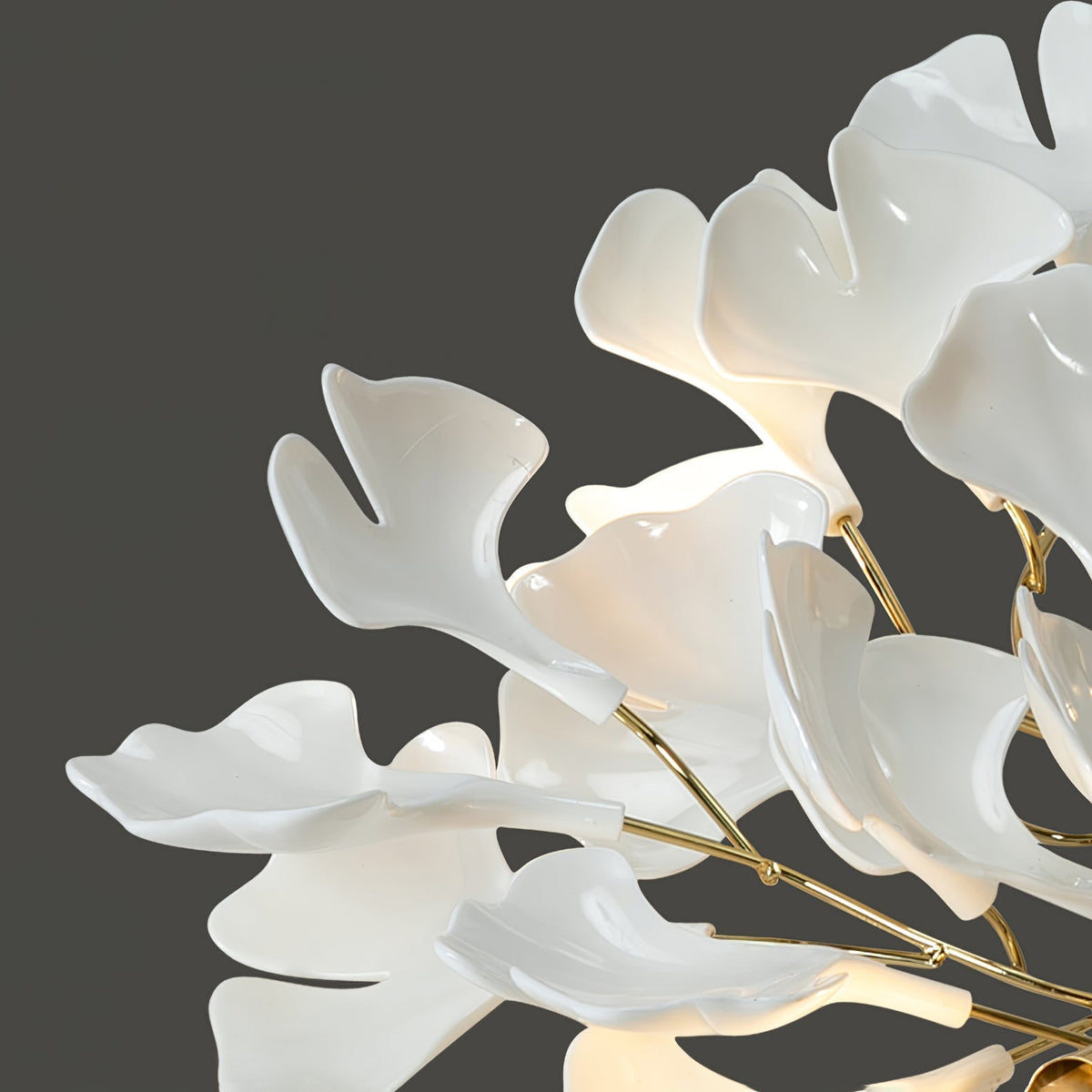 Calaena gingko-lysekrone