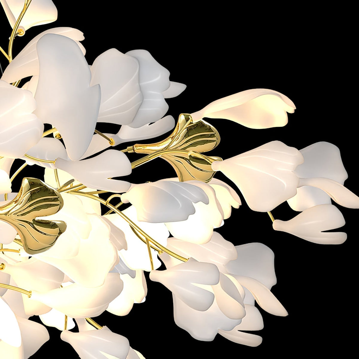 Calaena gingko-lysekrone