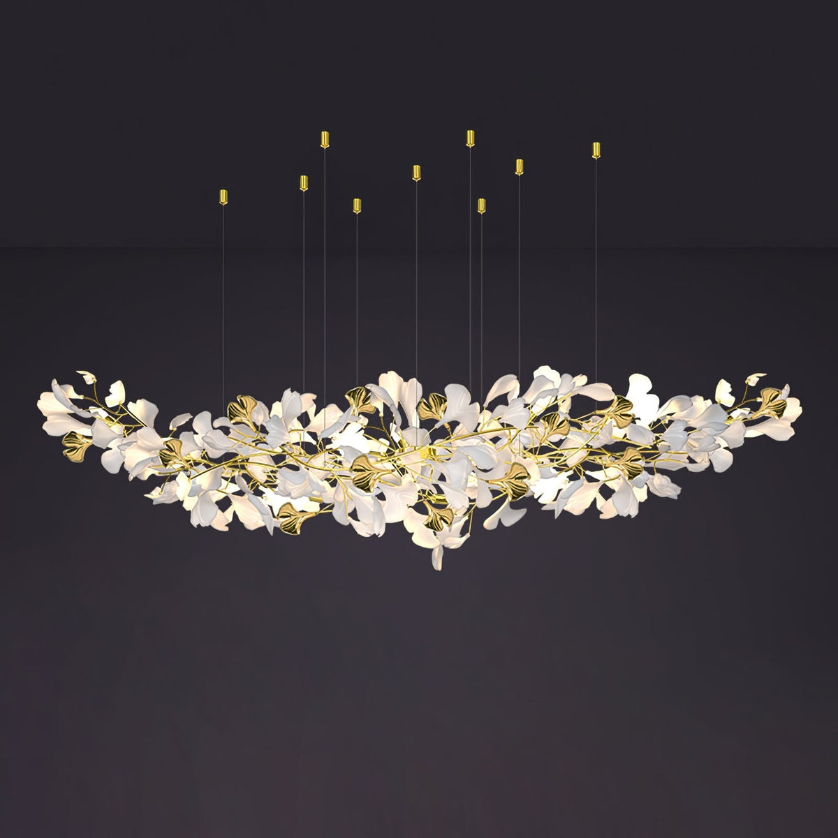 Calaena gingko-lysekrone