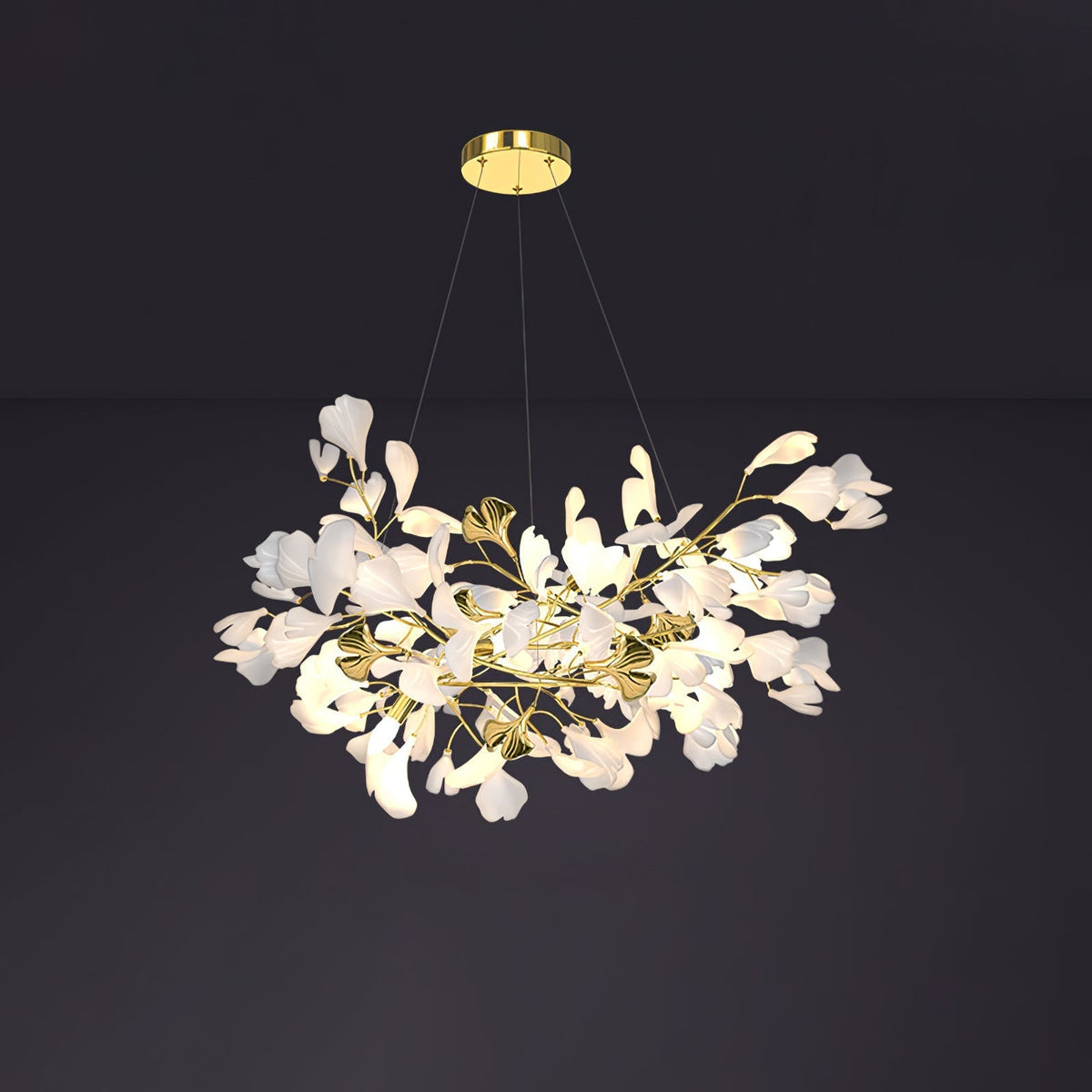 Calaena gingko-lysekrone