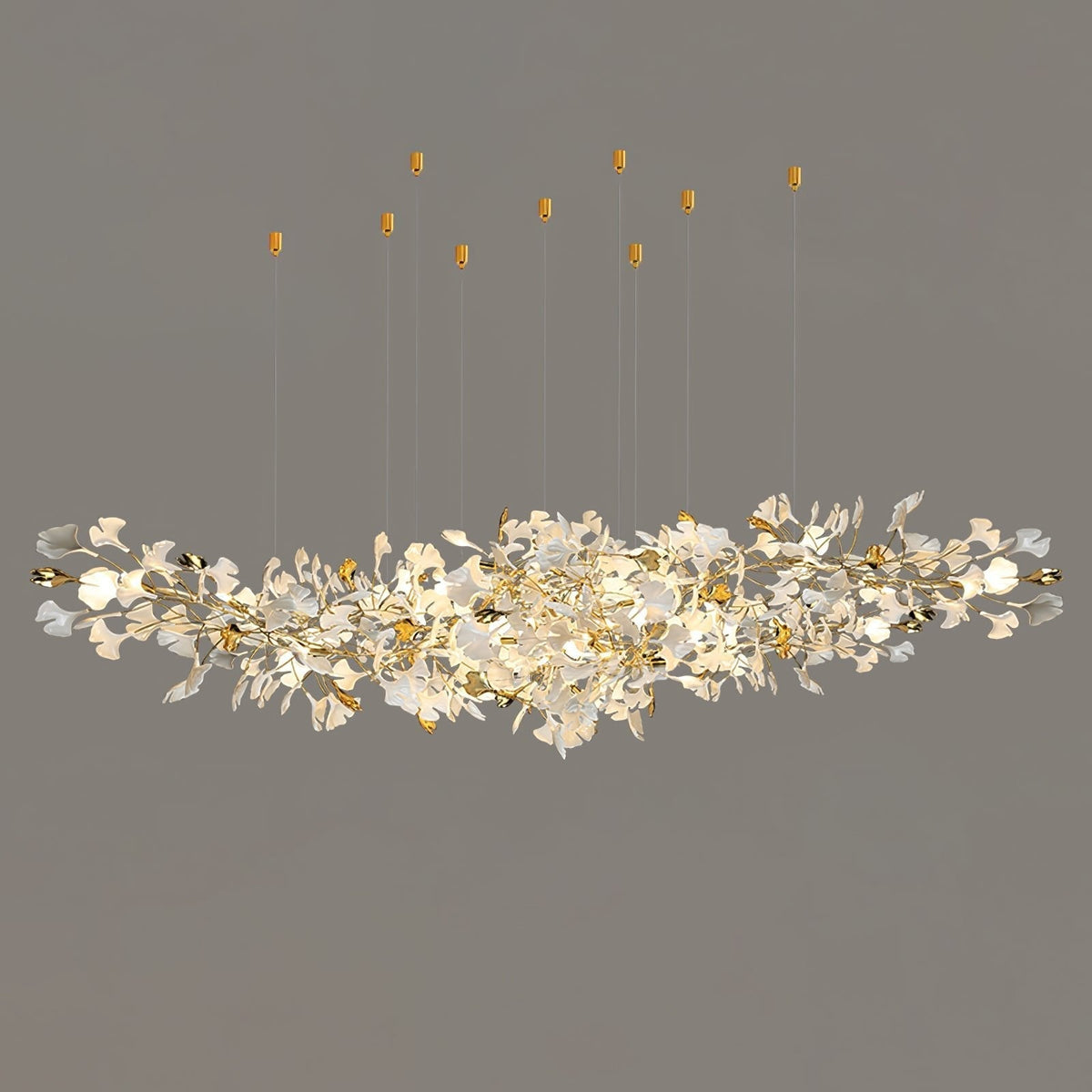 Calaena gingko-lysekrone