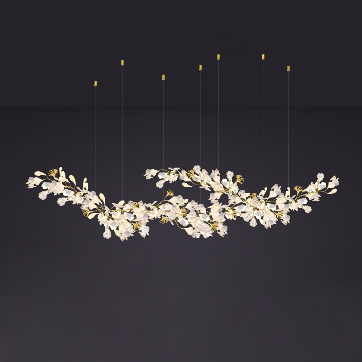 Calaena gingko-lysekrone