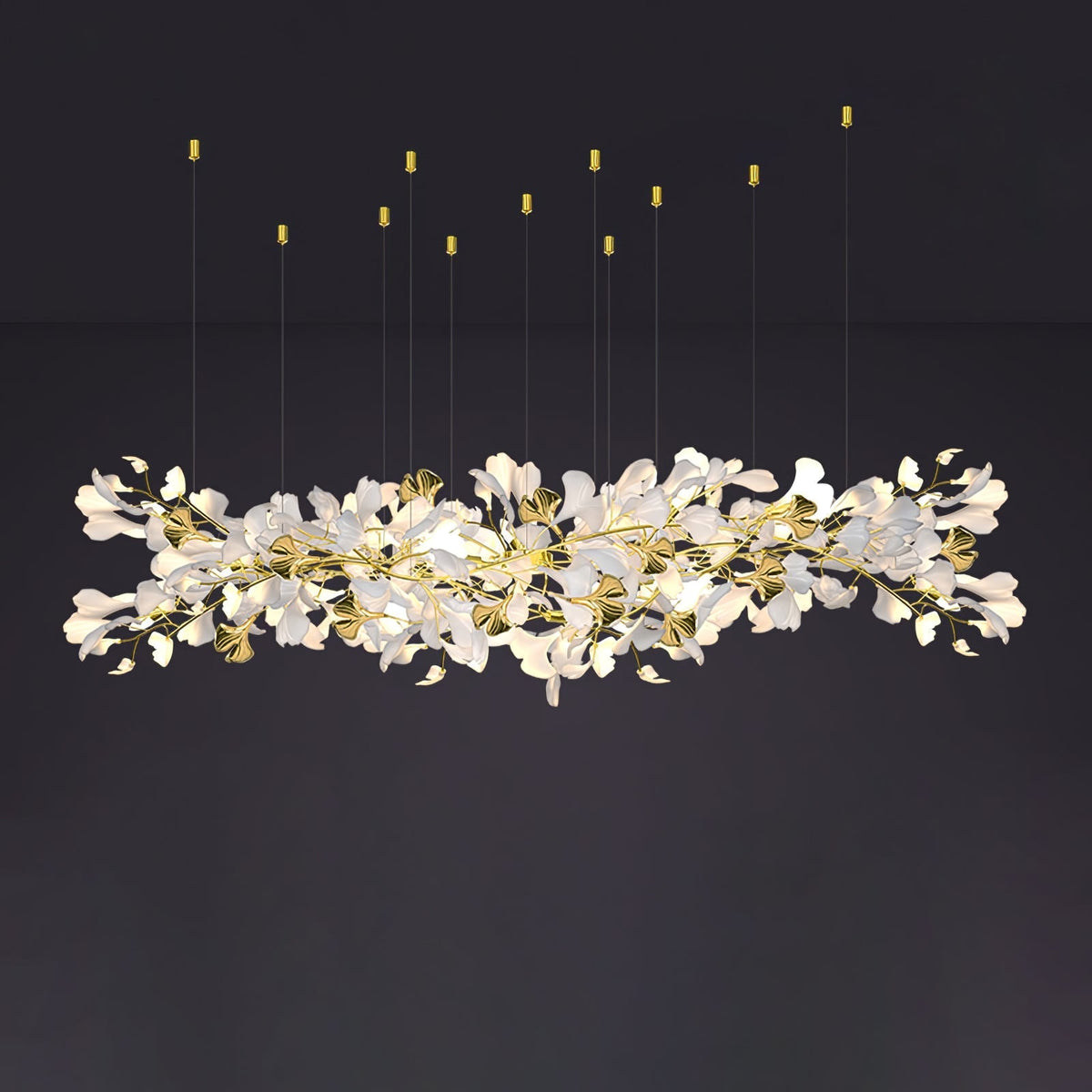 Calaena gingko-lysekrone