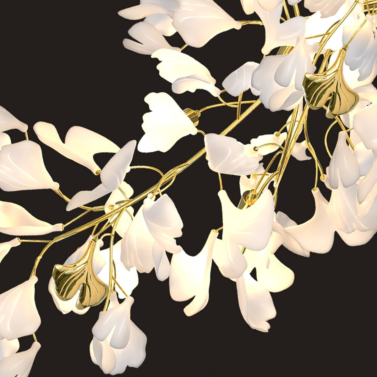 Calaena gingko-lysekrone