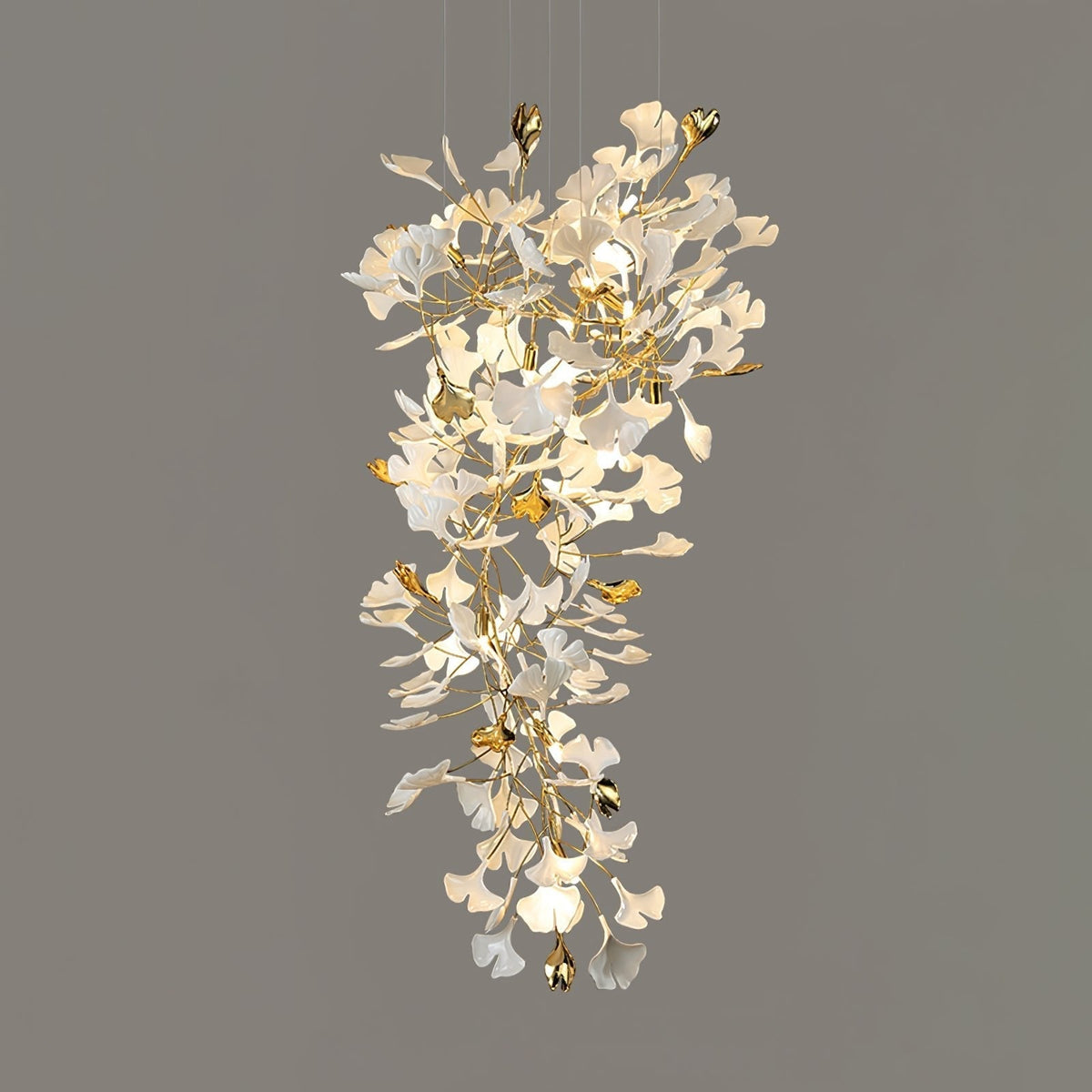 Calaena gingko-lysekrone