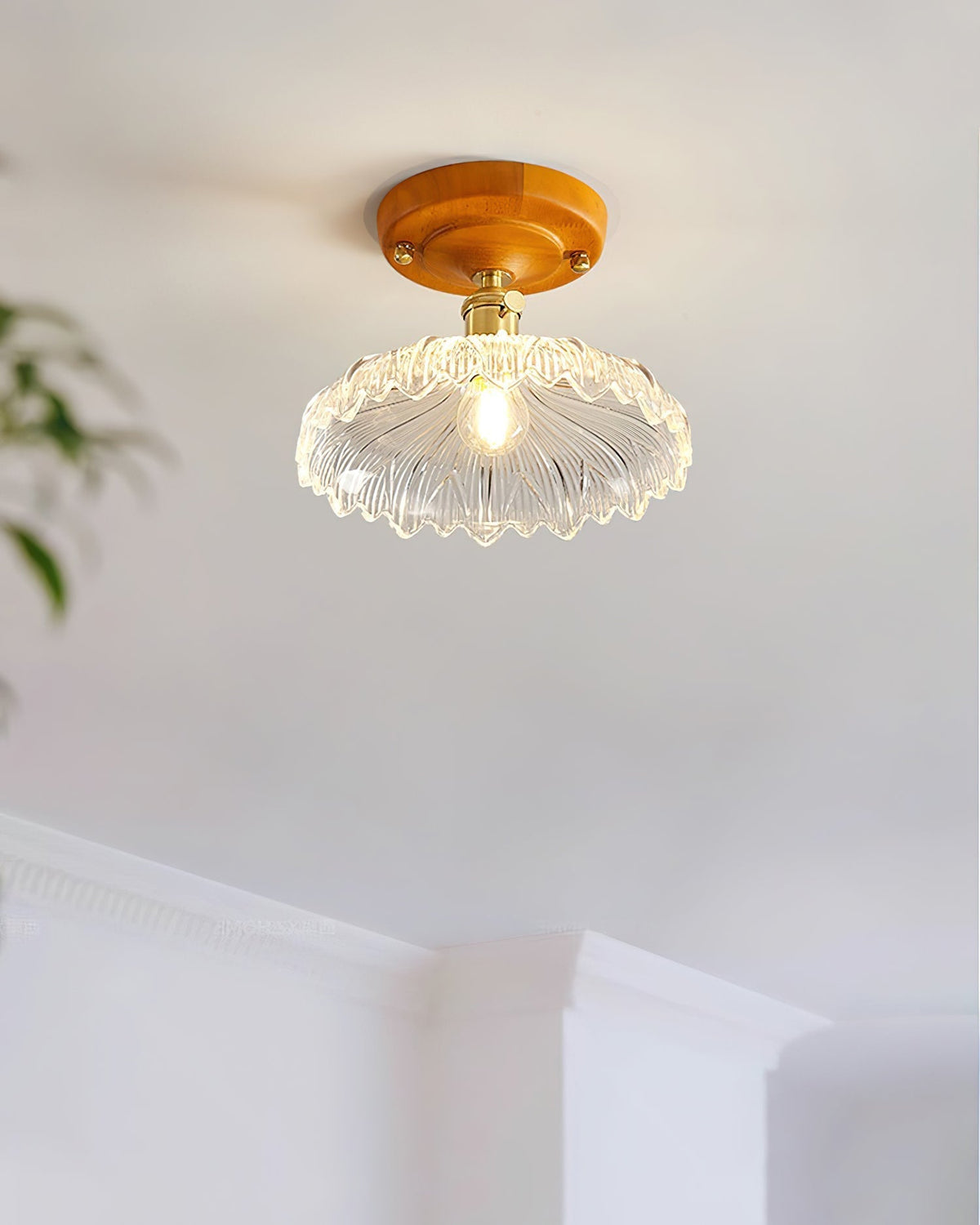 Velareon Ceiling Lamp