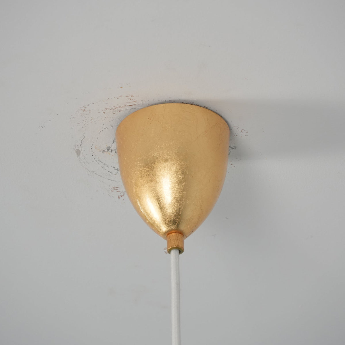 Velorelia pendellampa
