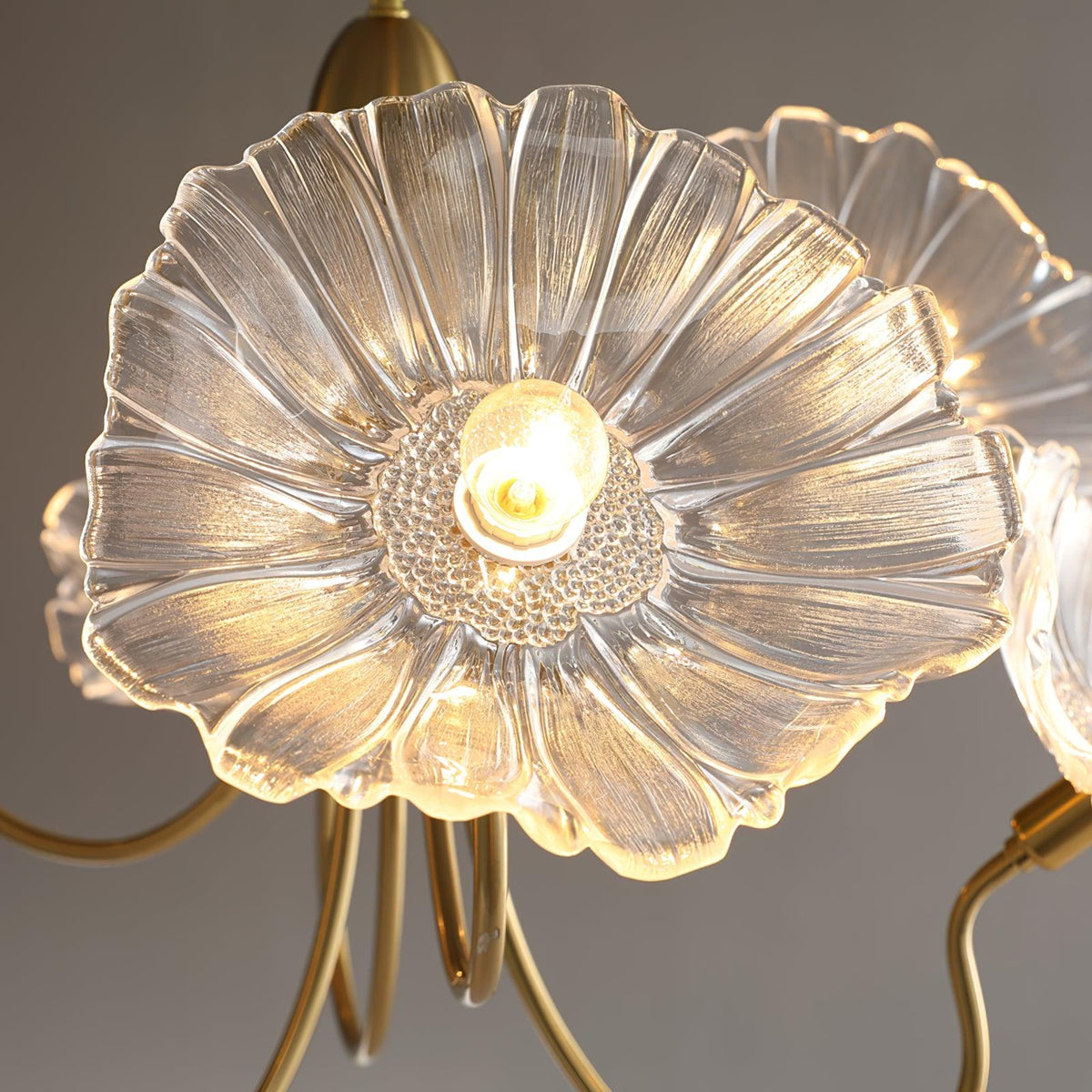Velorora lysekrone med lotusblad og glas