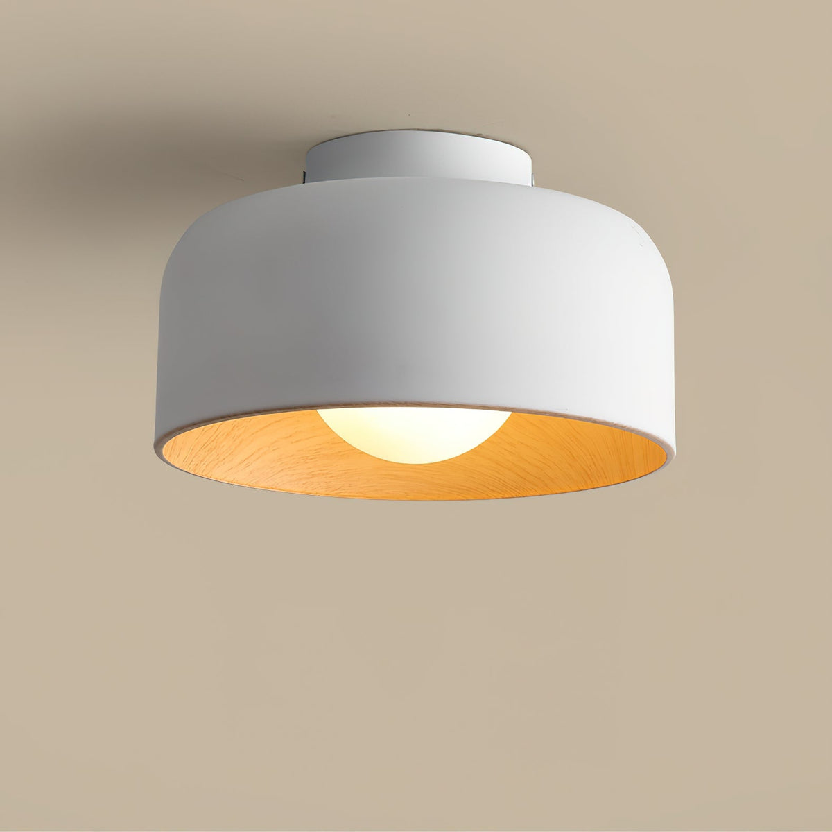 Elaerena Ceiling Light