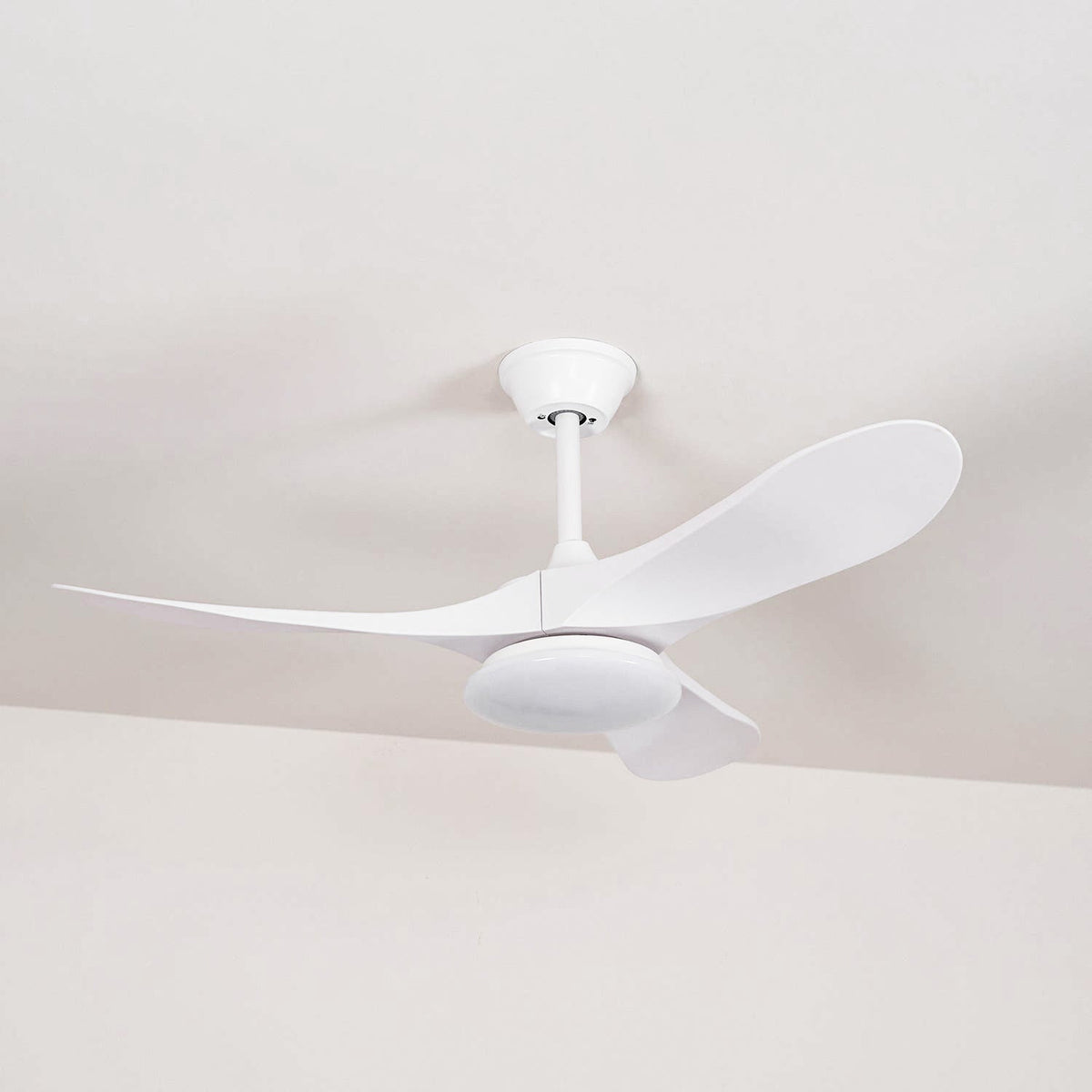 Ventoinha de teto com luz Liorueria