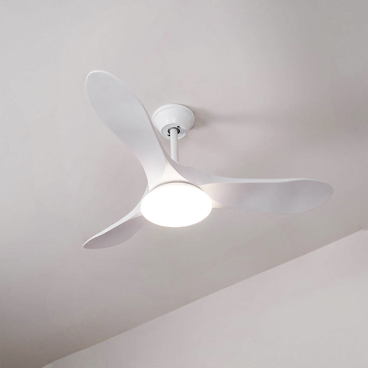 Ventoinha de teto com luz Liorueria