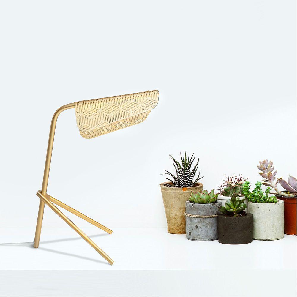 Lattice geometrisk bordslampa i guld