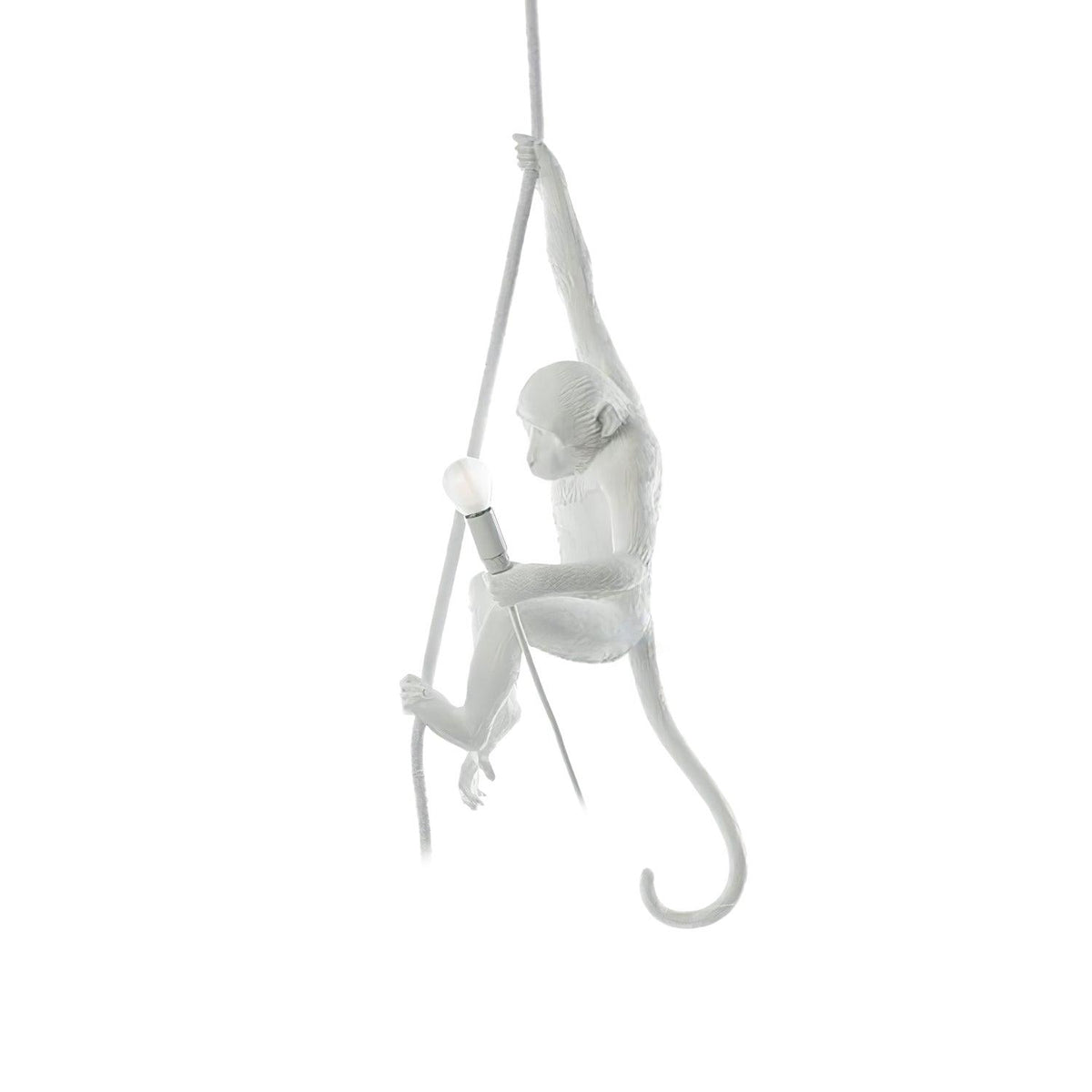 Epiran kunstnerisk pendel i harpiks og reb
