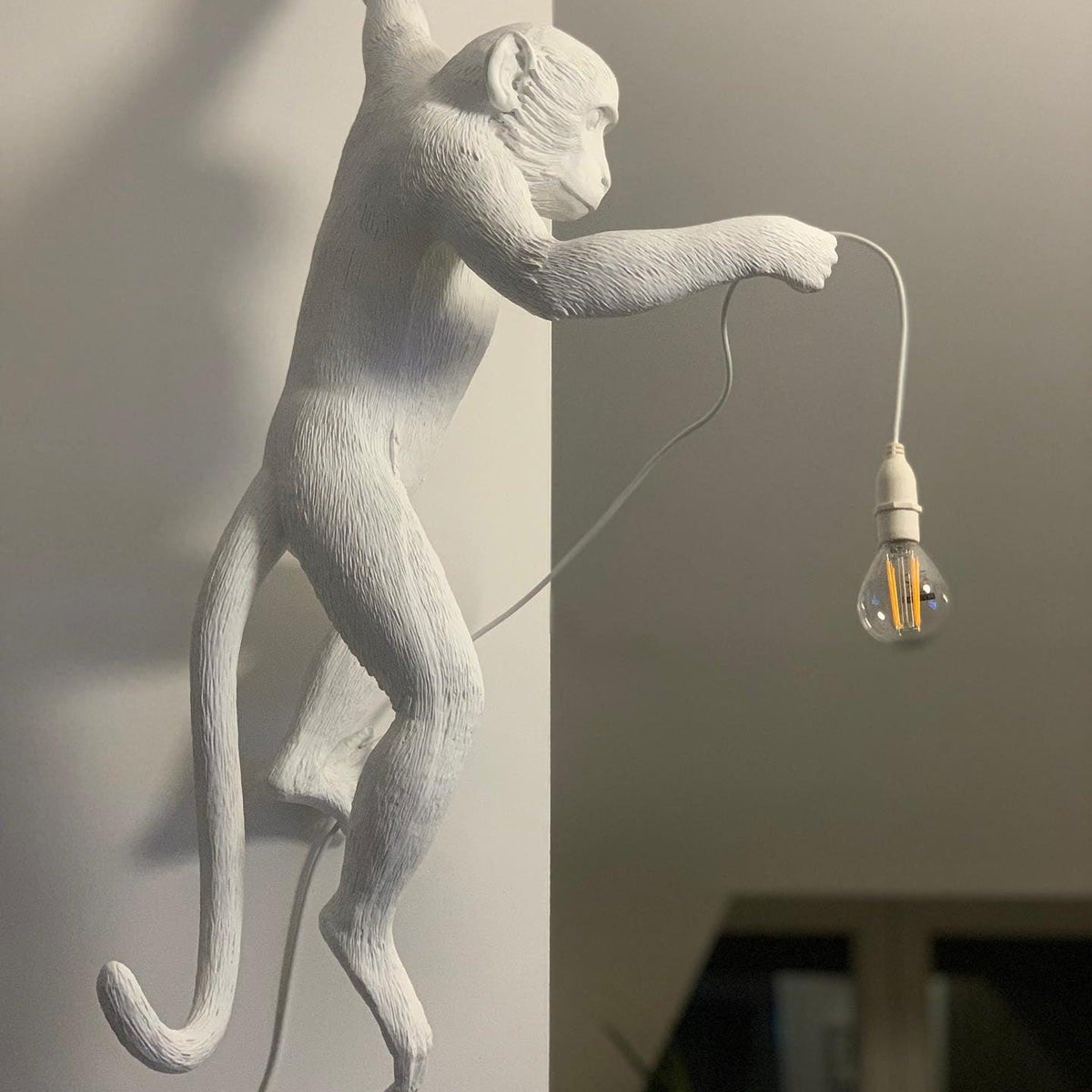 Bnx Art - ainutlaatuinen hartsinen apinaseinävalaisin