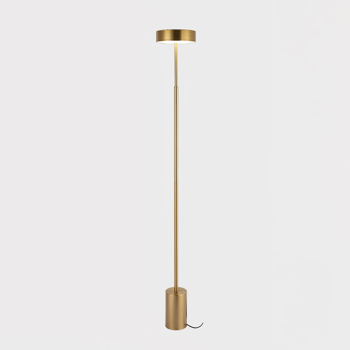 Circa Minimalist Rotatable Floor Lamp