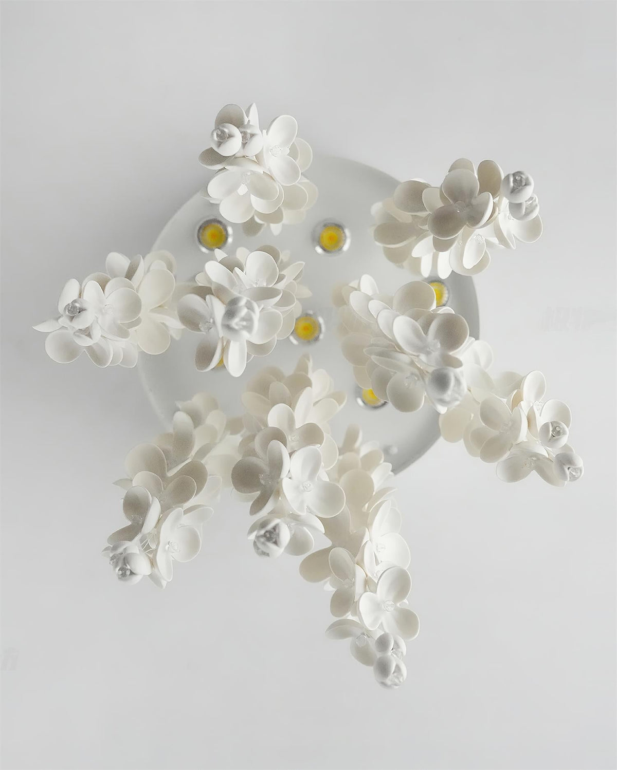 Petalisa Chandelier