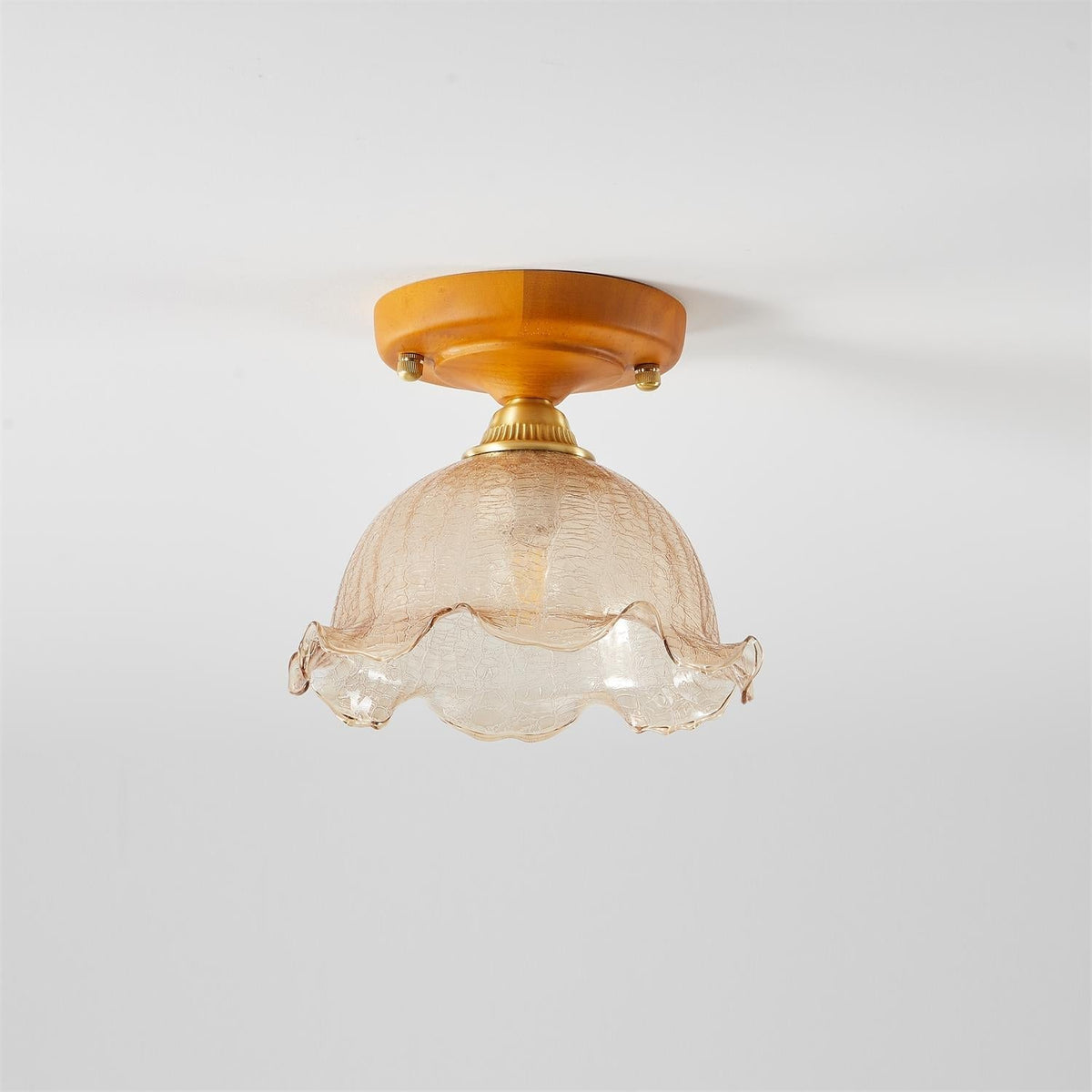 Elano Ceiling Light
