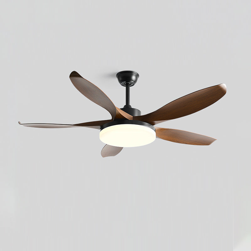 Liororeria Ceiling Fan Light
