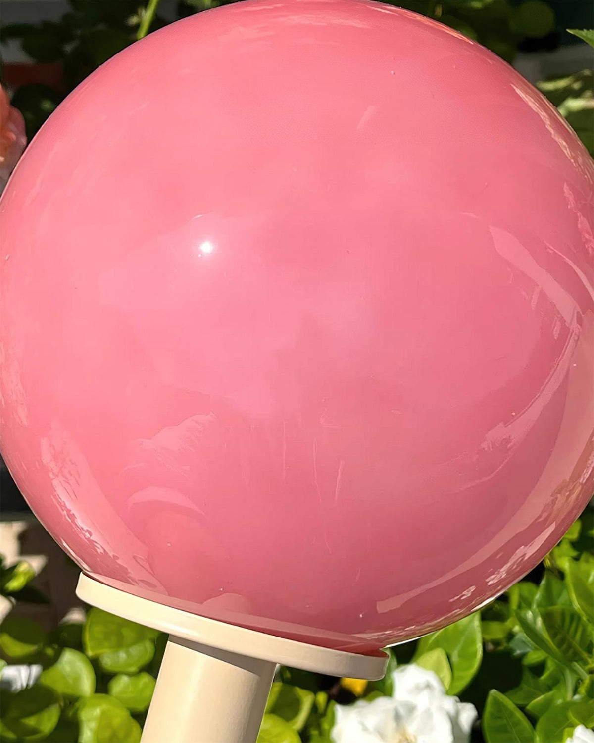 Viraoiella-bordlampe