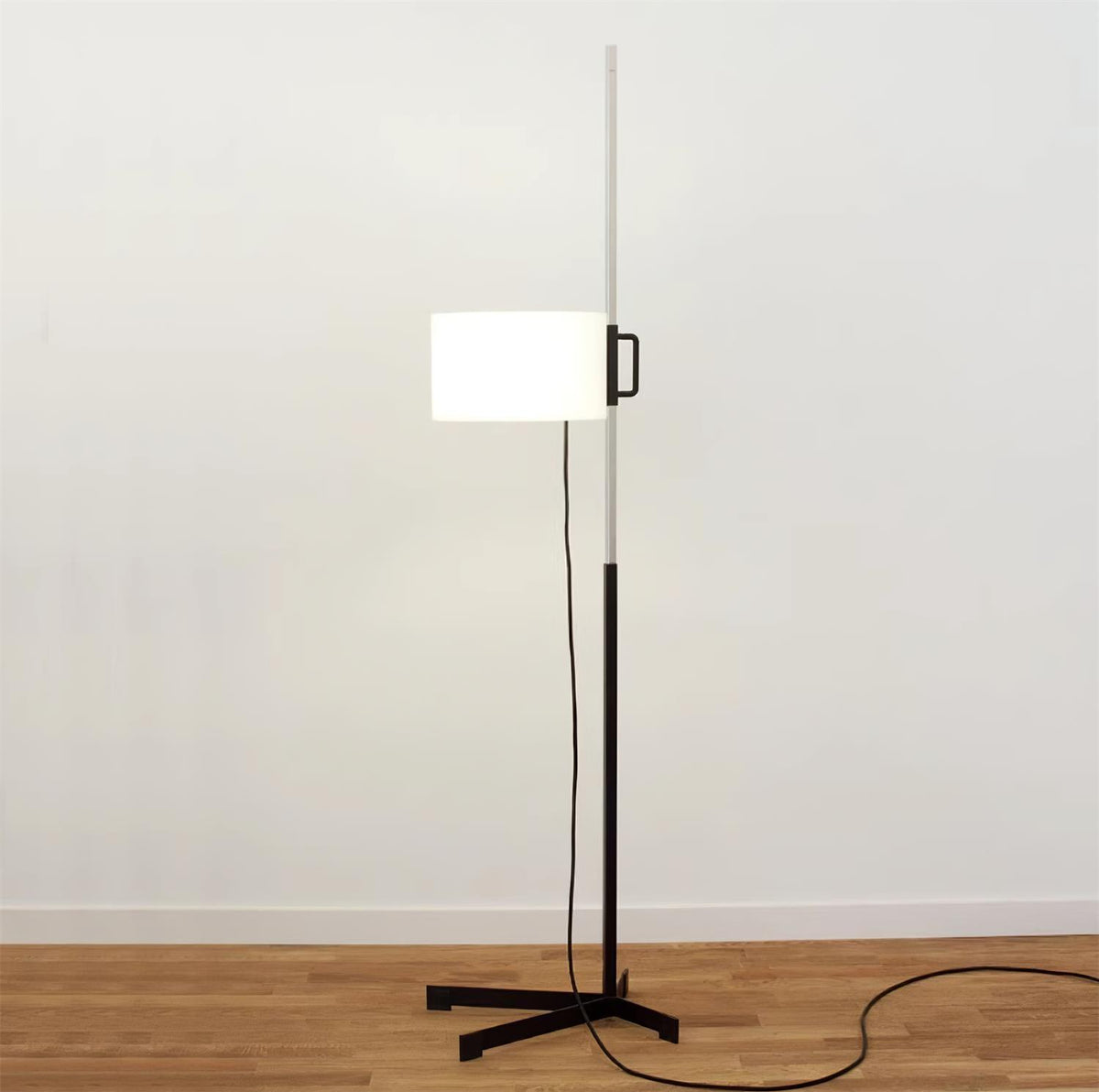 Reniselia Floor Lamp