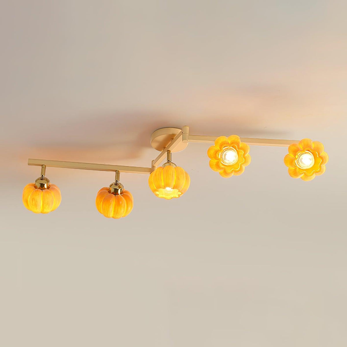 Sororeon Ceiling Light